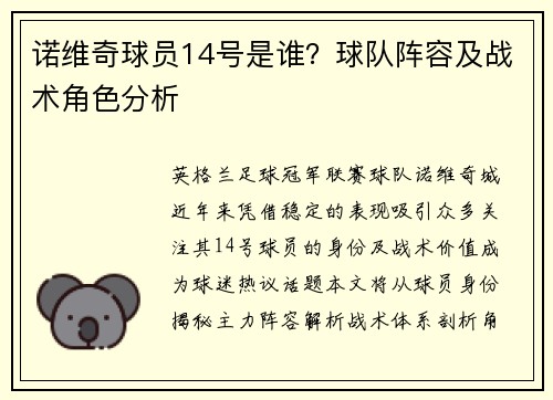 诺维奇球员14号是谁？球队阵容及战术角色分析